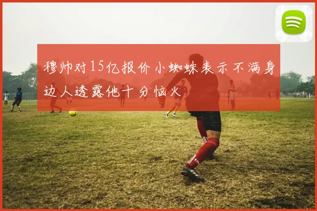 穆帅对15亿报价小蜘蛛表示不满身边人透露他十分恼火
